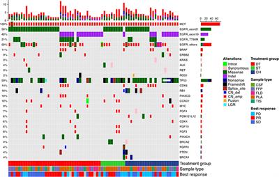 A Large Real-World Study on the Effectiveness of the Combined Inhibition of EGFR and MET in EGFR-Mutant Non-Small-Cell Lung Cancer After Development of EGFR-TKI Resistance